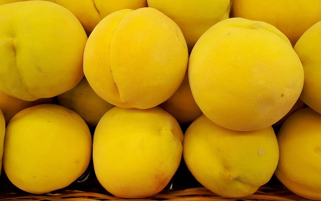 Melocotón de Calanda